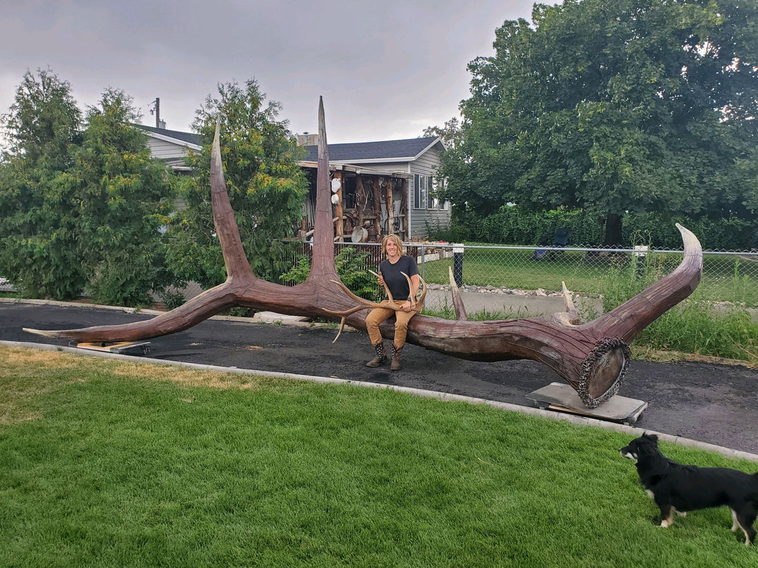 metal elk horn shed