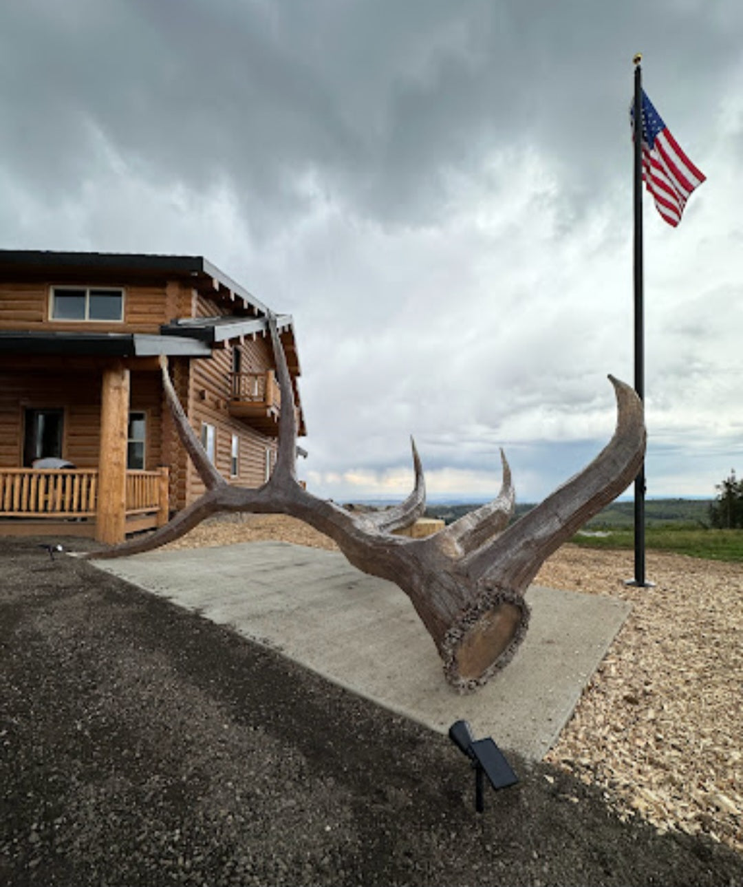 metal elk horn shed