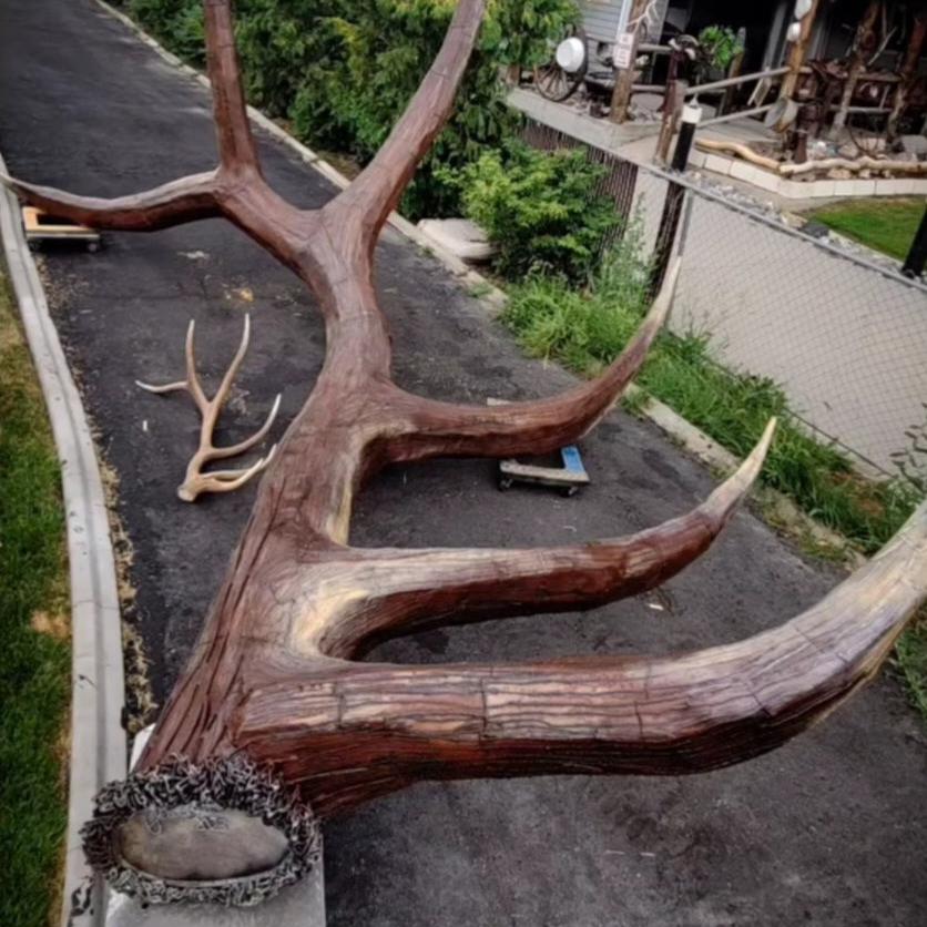 metal elk horn shed